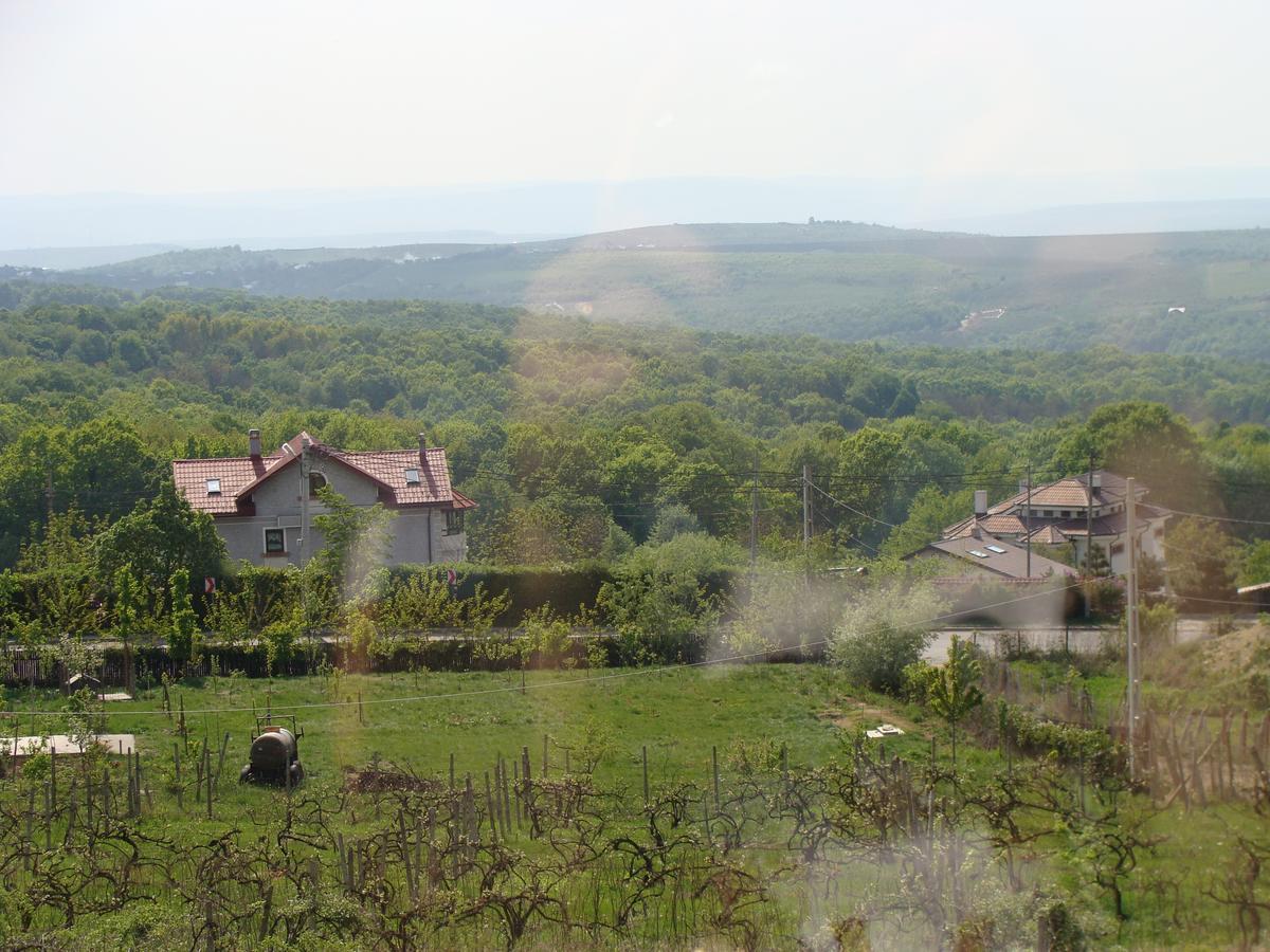 Pensiunea Taverna Bucium Iasi Buitenkant foto